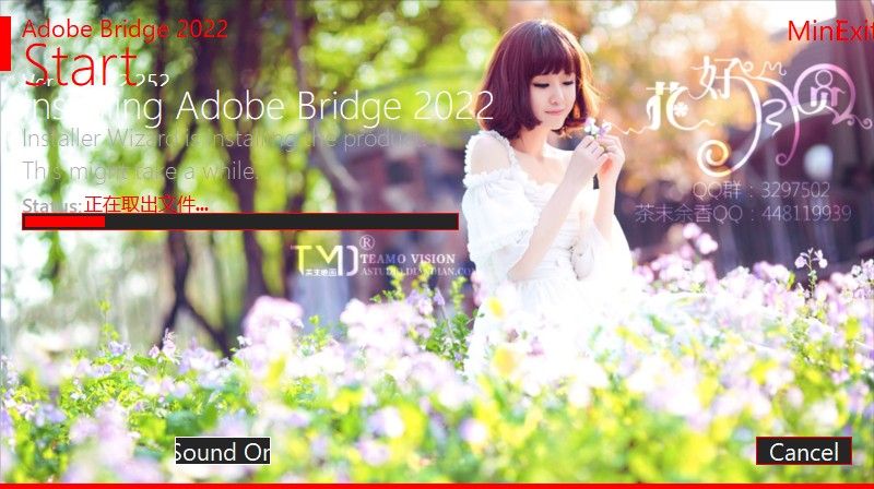 Bridge2022 v12.0.2.252 茶末余香增强版